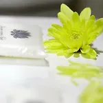 Gordon 丰沙尔