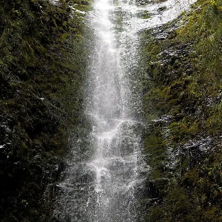Gordon * Funchal (Madeira)
